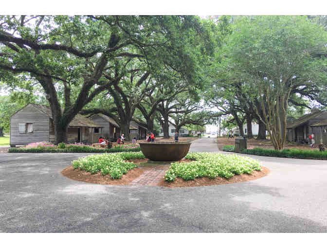 Beignets, Ghosts, and Spirits--New Orleans Experience