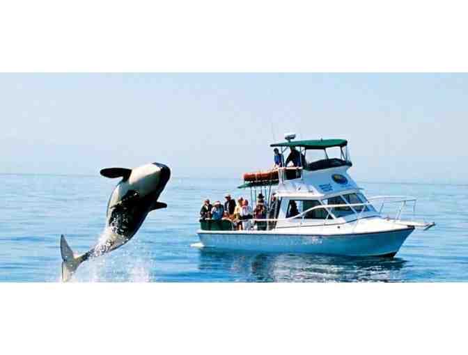 Whale Watching Adventure for Two
