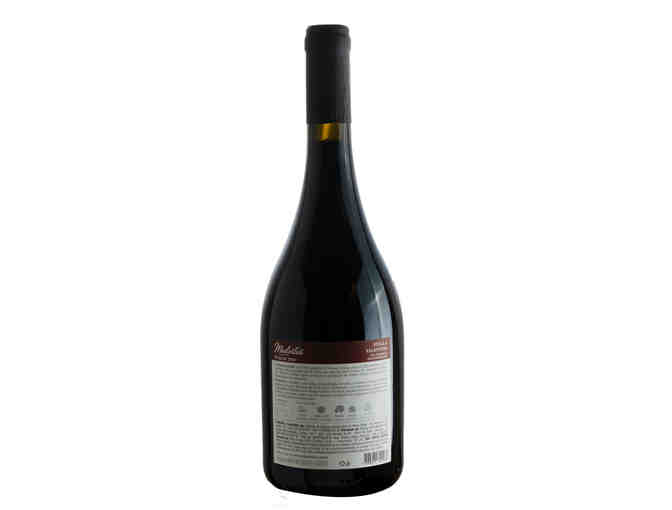 Garrafa de Vinho Stella Valentino Syrah Modestus