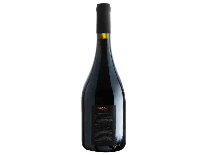 Garrafa de Vinho Arcano Syrah