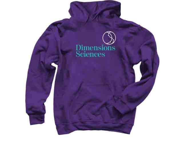 Exclusive DS Logo Hoodie