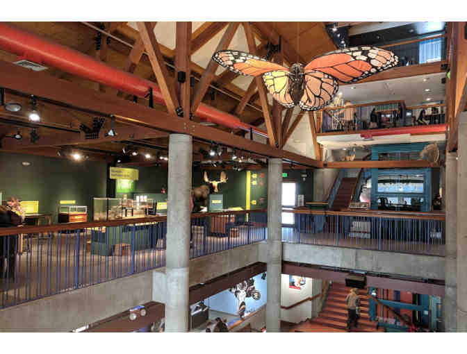 Montshire Museum of Science - Free Admission for Two