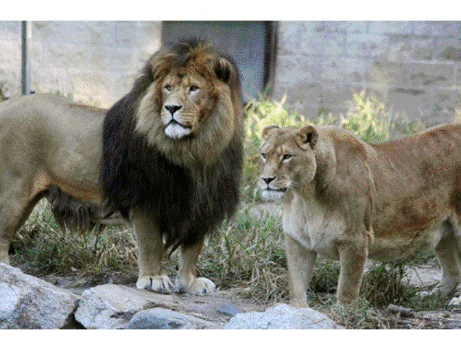 Southwick's Zoo - General Admission For Two