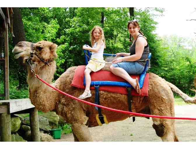 Southwick's Zoo - General Admission For Two