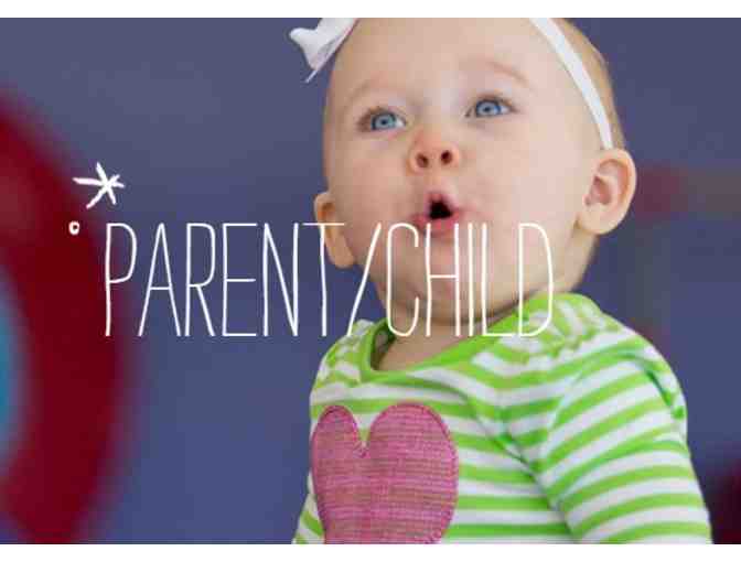 The Little Gym of Littleton - One Month of Free Classes