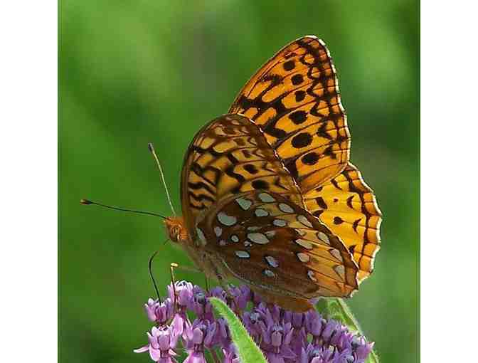 Mass Audubon Metrowest Sanctuaries - Free Family Day Pass