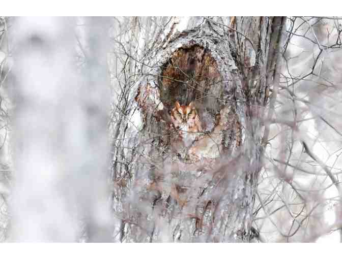 Audubon Society of Rhode Island - One Year Family Membership