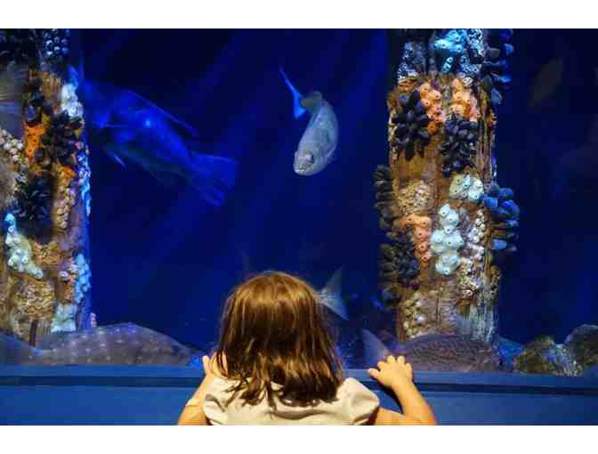 Audubon Society of Rhode Island - One Year Family Membership