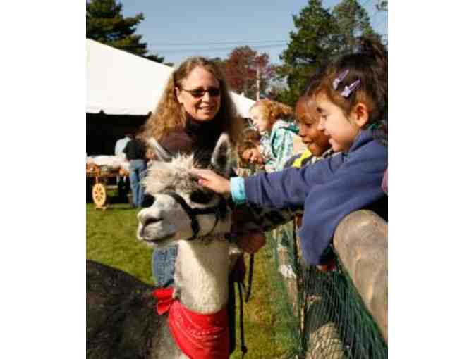 Topsfield Fair - Family 4-Pack of Admission Tickets to the 2022 Topsfield Fair