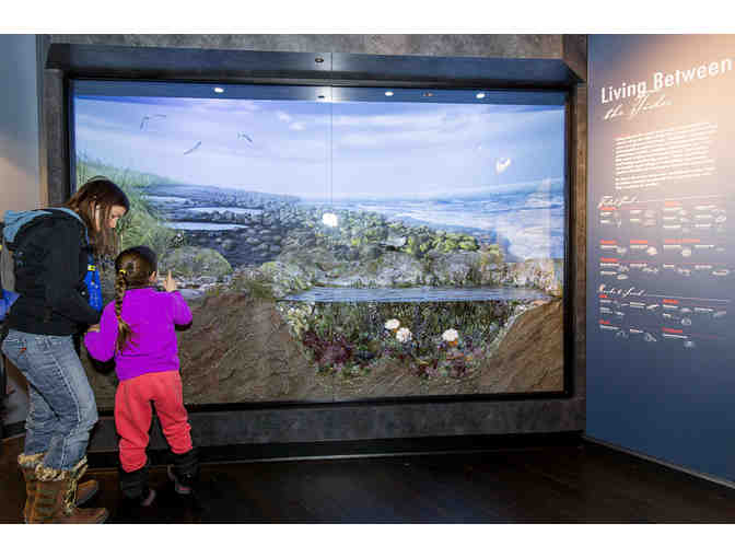 Harvard Museum of Natural History - Four Admission Passes