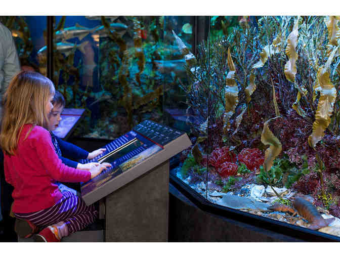 Harvard Museum of Natural History - Four Admission Passes