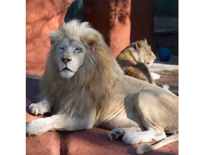 Capron Park Zoo - Family Ticket