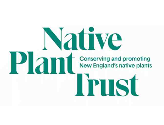 Garden In the Woods - 4 Passes