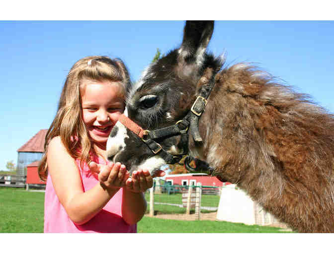 Davis Farmland - Pass For Up To Two To Farmland or Mega Farm Festival (#1)