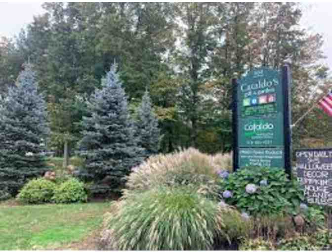 Cataldo's Gift and Garden - $50 Gift Card