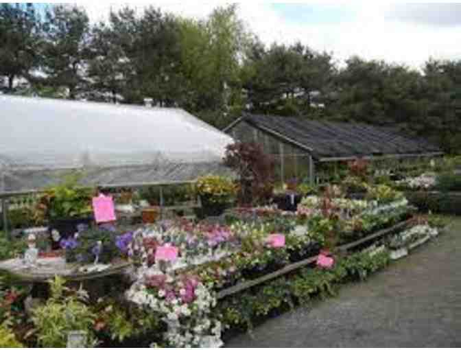 Cataldo's Gift and Garden - $50 Gift Card