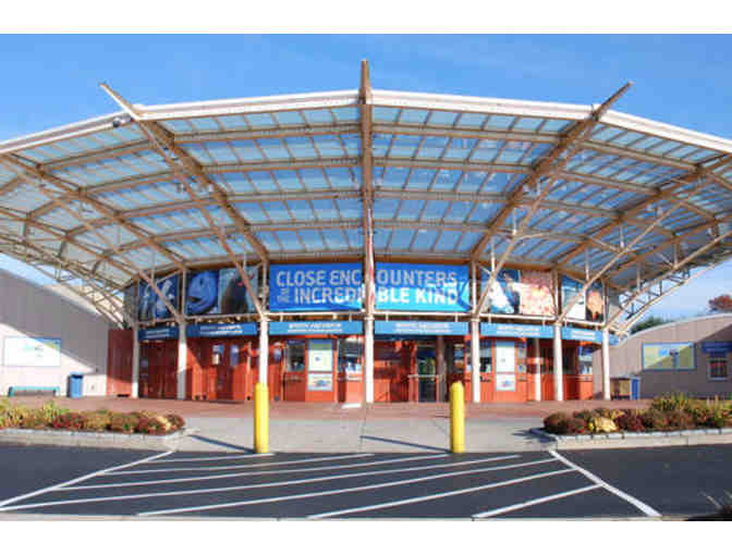 Mystic Aquarium - Two Admission Passes