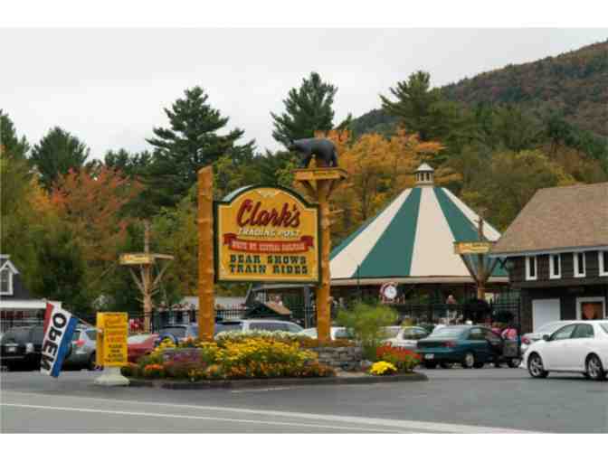 Clark's Bears - Complimentary Admission for Two