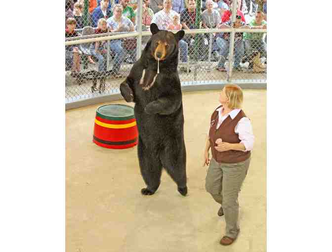 Clark's Bears - Complimentary Admission for Two