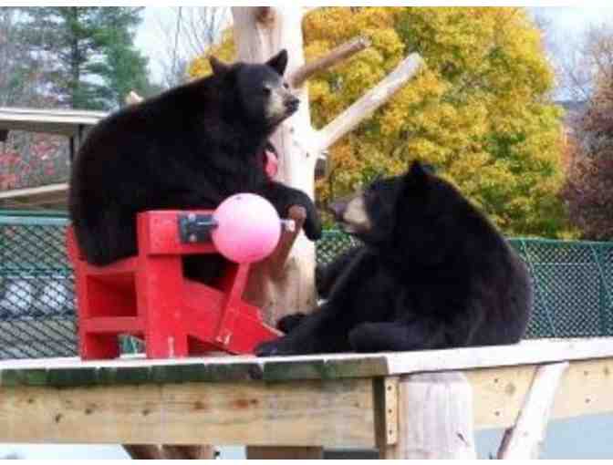 Clark's Bears - Complimentary Admission for Two