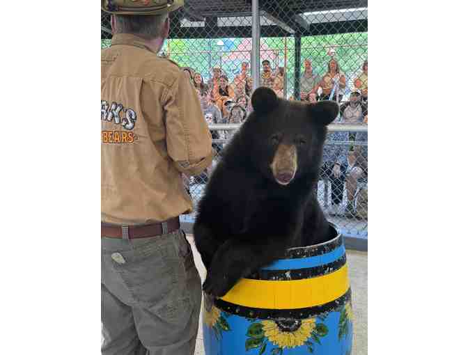 Clark's Bears - Complimentary Admission for Two