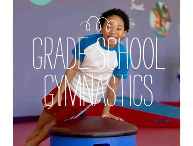 The Little Gym of Littleton - One Month of Free Classes