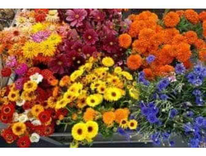 Verrill Farm - $50 Gift Card