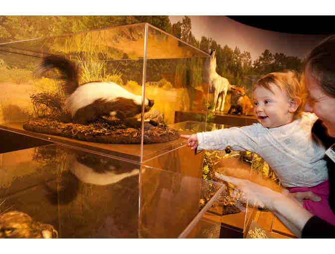 Harvard Museums of Science & Culture - Four Admission Passes