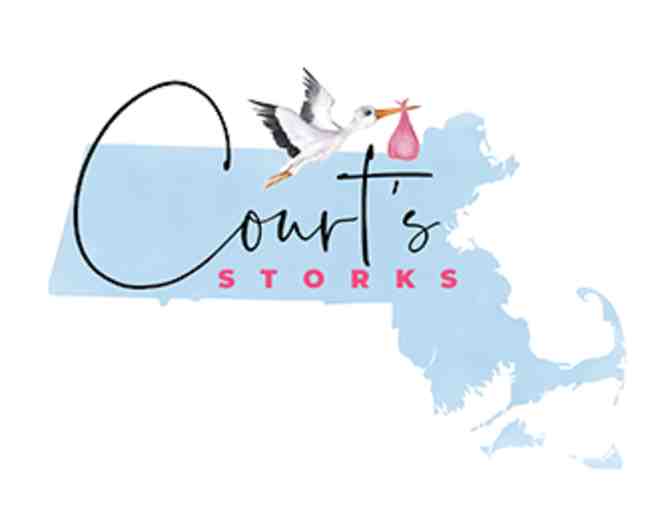 Court's Storks - 7 Day Pink or Blue Stork Yard Sign Rental