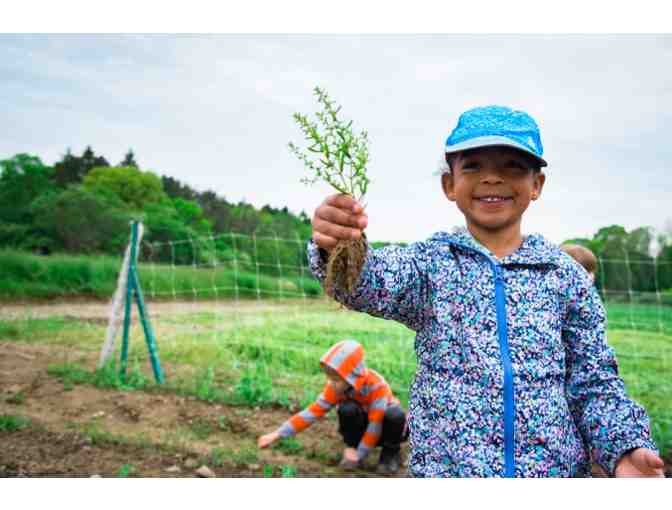 Drumlin Farm Wildlife Sanctuary - Free Family Day Pass