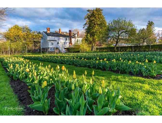 The Trustees - One Year Family Membership