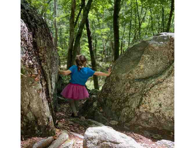 TimberNook - One Week of Summer Camp for a Child Age 4-8