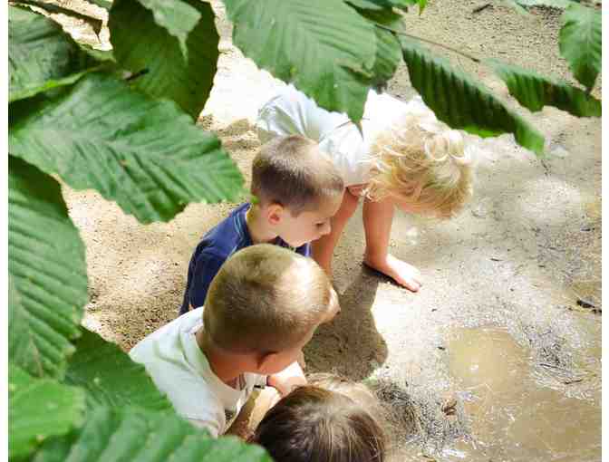 TimberNook - One Week of Summer Camp for a Child Age 4-8