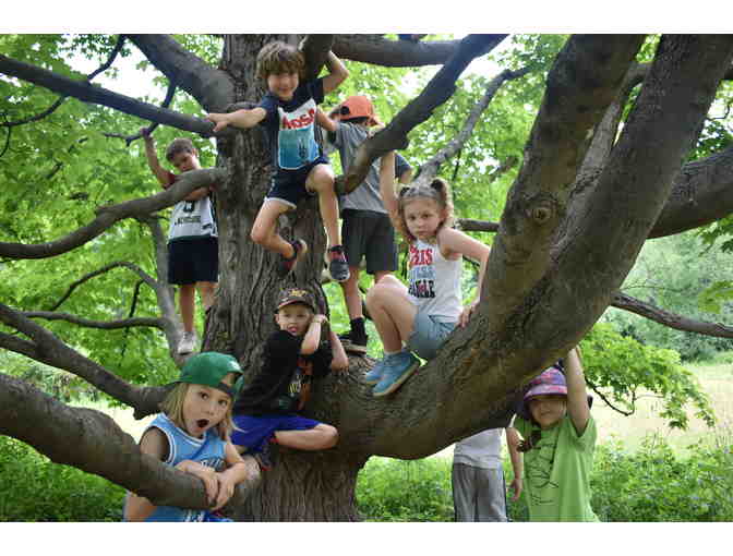 Tom Denney Nature Camp - One Grade K-5 Registration for Week 1 (6/30-7/4) of Camp