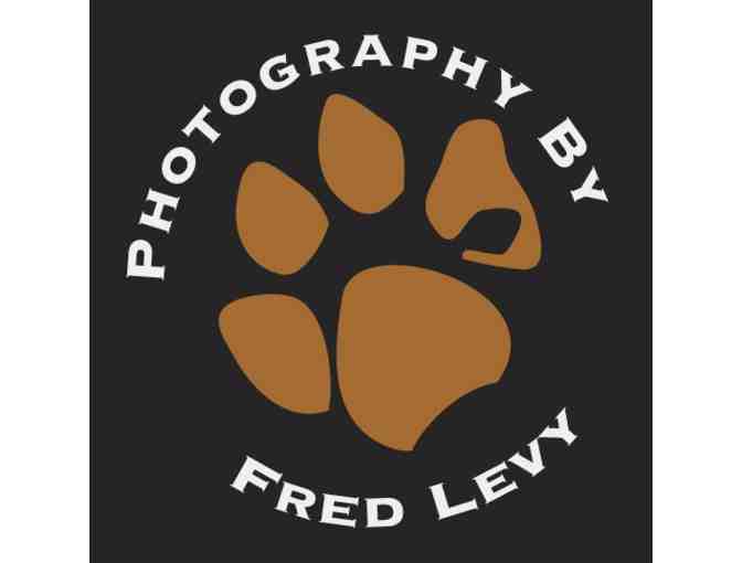 Fred Levy Photography - Studio Session For You and Your Pet including one 8x10 Print