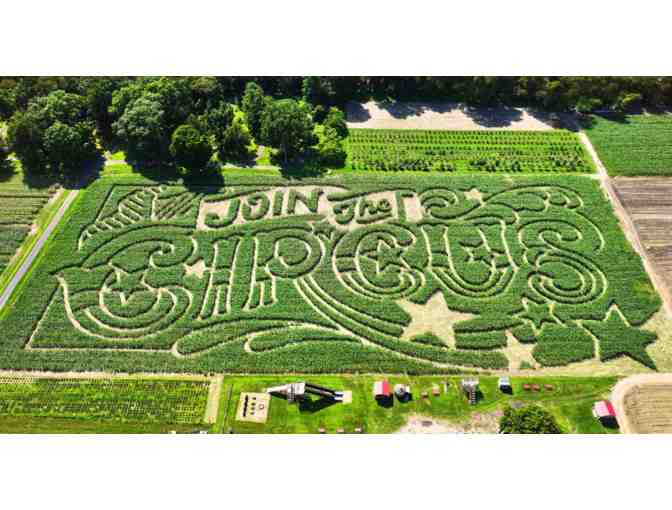 Mike's Maze - Admission Passes for Four