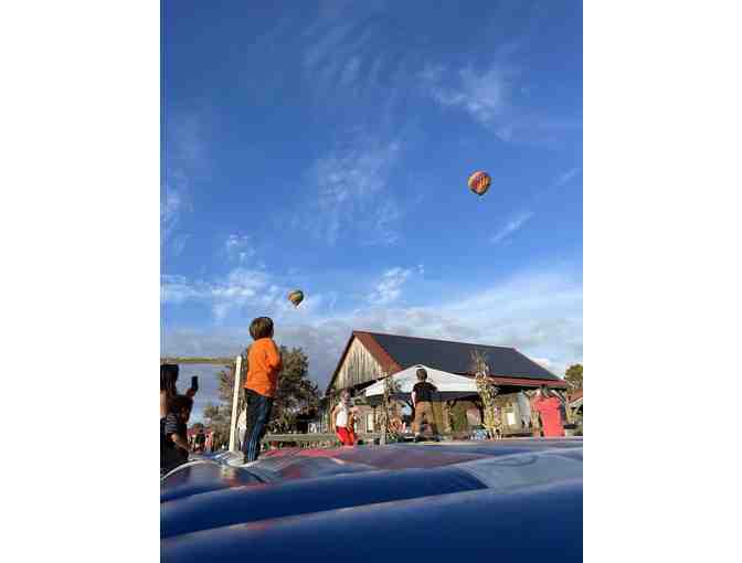 Mike's Maze - Admission Passes for Four