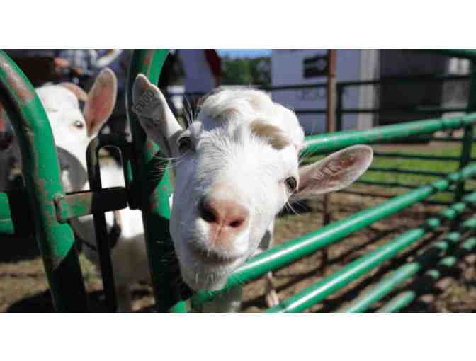 Mike's Maze - Admission Passes for Four