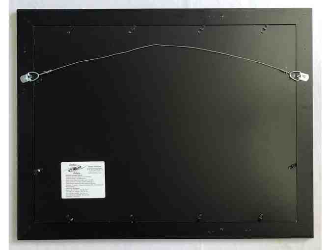 D. Heilman Astrophotography - Framed Time-Lapse Photo of Rosette Nebula