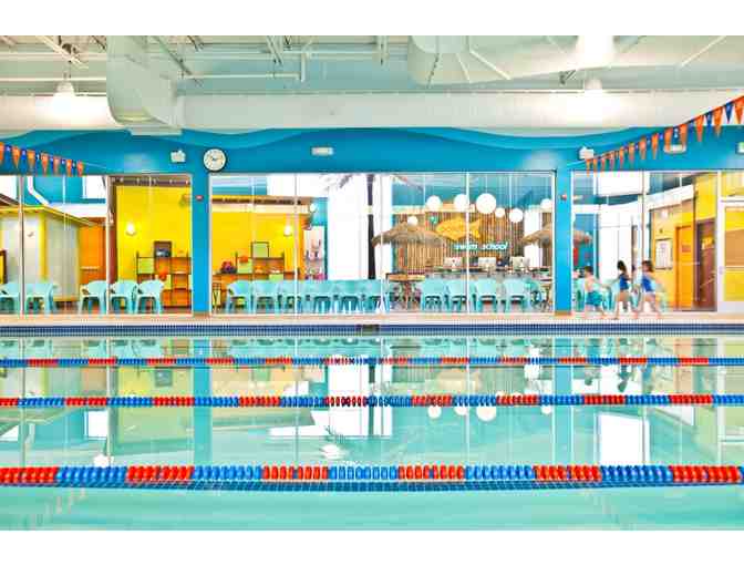 Goldfish Swim School - Four Group Swim Lessons for One Child (Westford location)