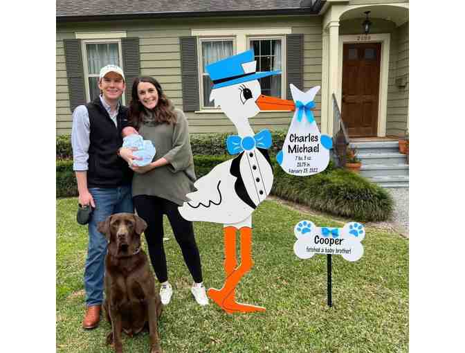 Court's Storks - 7 Day Pink or Blue Stork Yard Sign Rental