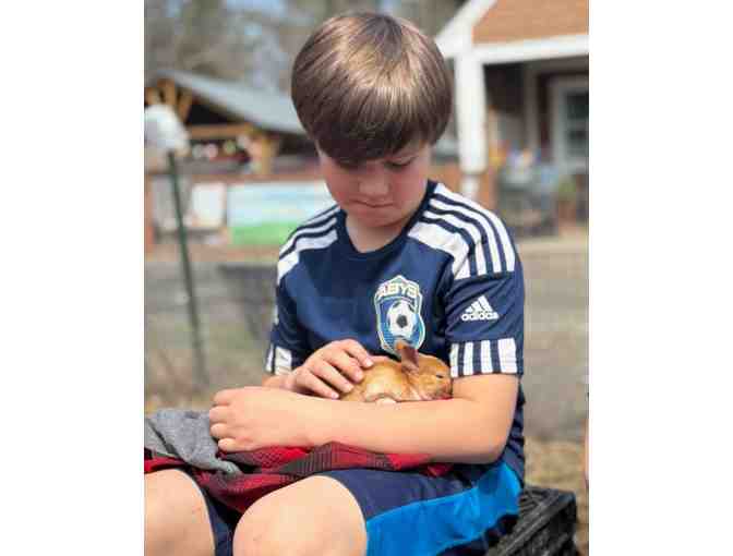 Good Pickin' Farm - Barnyard Brush Experience