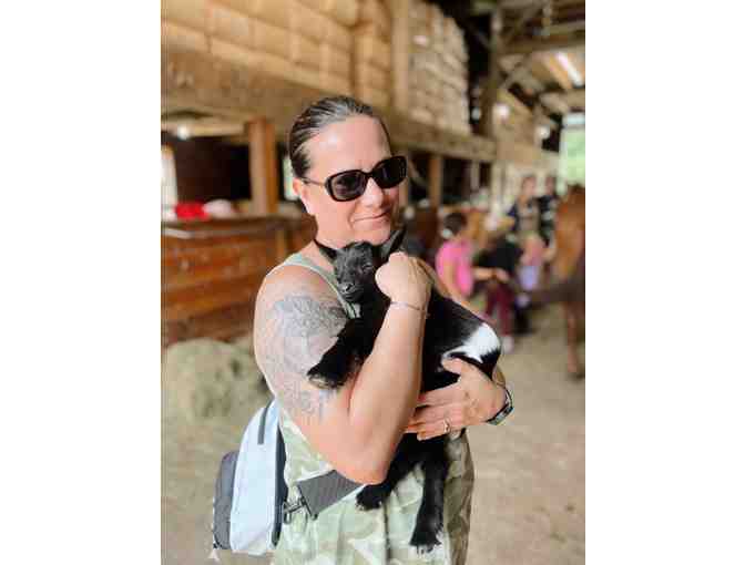 Good Pickin' Farm - Barnyard Brush Experience