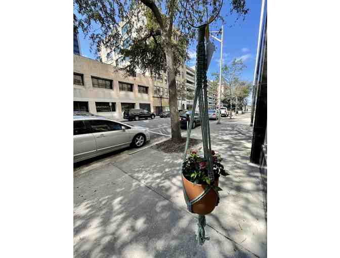 Knotted Vines Macrame Plant Hanger & Terracotta
