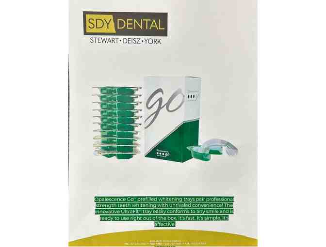 SDY Dental Tooth Whitening Basket 1