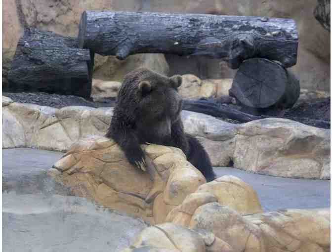 Little Rock Zoo four admission passes (Little Rock, AZ)