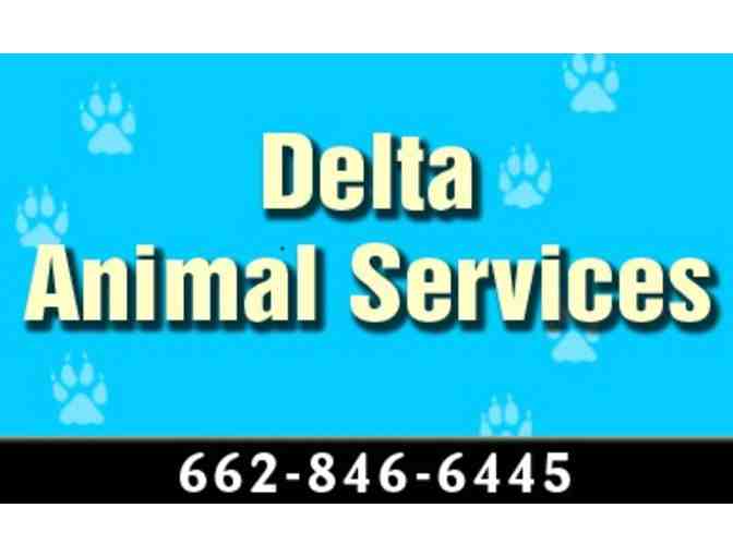 Keeping your PET Healthy