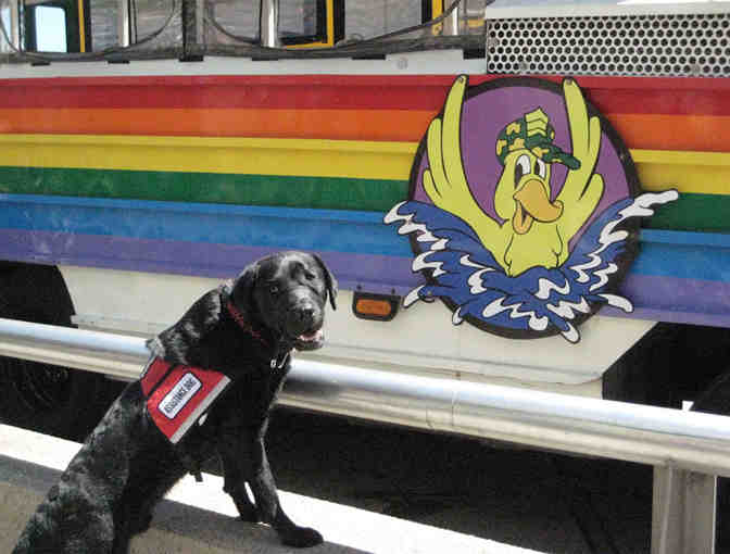 Two (2) Tickets for Boston Duck Tours (Non-Peak Season Only)