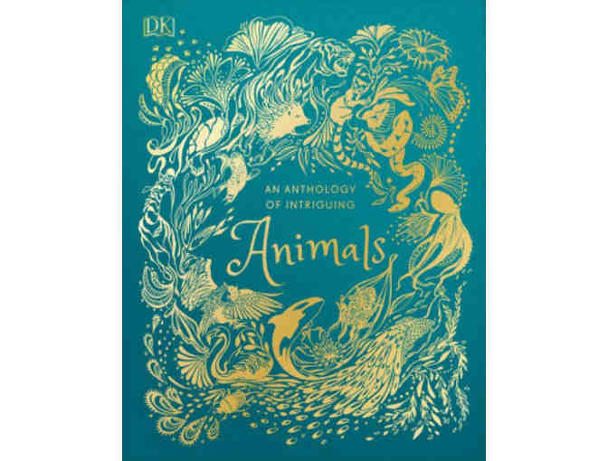 Four (4) best selling books donated by Paperback Junction