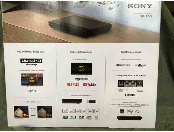 Sony Ultra Blu-Ray Disk/DVD Player with 4K UHD from Audio Video Intelligence